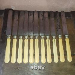 11 couteaux lame acier XIX ème Napoléon III DUCROS & CORNU