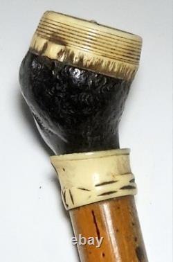 Ancienne badine canne de Dandy fin XIXe pommeau tête homme noir en ébène sculpté