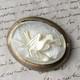 Broche Xix&egrave; Napoleon Iii Argent Oiseau En Nacre French Victorian Brooch 19th C