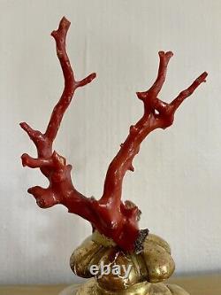 Branche de corail rouge socle bois doré XIX Napoléon III globe cabinet curiosité