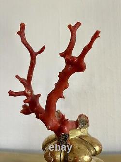 Branche de corail rouge socle bois doré XIX Napoléon III globe cabinet curiosité