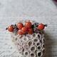 Broche Ancienne Corail Napoléon Iii Argent Xixè Coral Silver Brooch 19thc