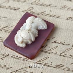 CAMEE Ancien Portrait Homme Cornaline XIXè Napoléon III Victorian Cameo 19thC
