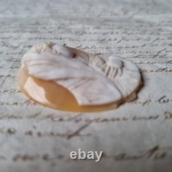 Camée Ancien Napoléon III Portrait Vierge XIXè Victorian Shell Cameo