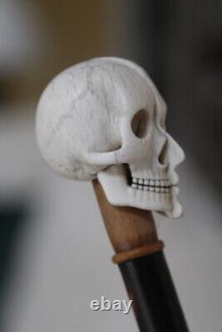 Canne de collection pommeau en os Vanité Memento Mori époque fin XIX ème