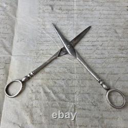 Ciseaux Raisin Argent Massif Minerve Fin XIXè Anciens Napoléon III