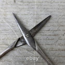 Ciseaux Raisin Argent Massif Minerve Fin XIXè Anciens Napoléon III