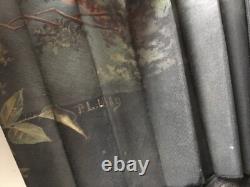 EVENTAIL XIXè Napoléon III Décor Peint Signé PL 1889 VENTAGLIO Hand FAN 19thC