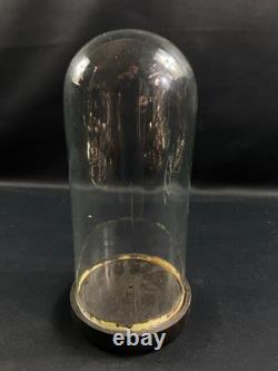 Globe cylindrique XIXe en verre sur socle en bois noirci Napoléon III