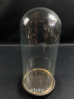 Globe cylindrique XIXe en verre sur socle en bois noirci Napoléon III