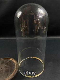 Globe cylindrique XIXe en verre sur socle en bois noirci Napoléon III