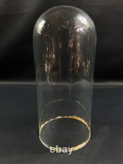 Globe cylindrique XIXe en verre sur socle en bois noirci Napoléon III