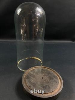 Globe cylindrique XIXe en verre sur socle en bois noirci Napoléon III