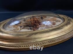 Grand cadre de mariage en bois doré à vue ovale & verre bombé XIXe Napoléon III