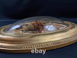 Grand cadre de mariage en bois doré à vue ovale & verre bombé XIXe Napoléon III