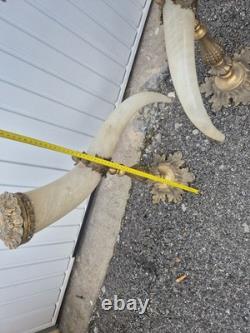 Grande paire de cornes décoratives XIXe en monture bronze doré 62 cm