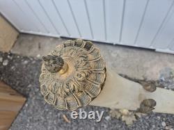 Grande paire de cornes décoratives XIXe en monture bronze doré 62 cm