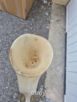 Grande paire de cornes décoratives XIXe en monture bronze doré 62 cm