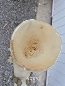 Grande paire de cornes décoratives XIXe en monture bronze doré 62 cm