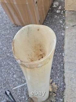 Grande paire de cornes décoratives XIXe en monture bronze doré 62 cm