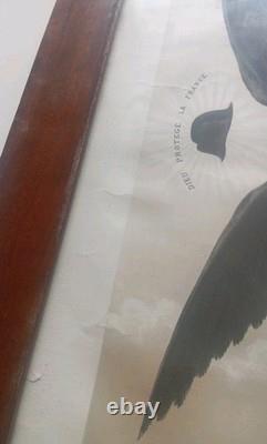 Lithographie D'Harlingue XIXe Prince Impérial Napoléon III cadre d'époque