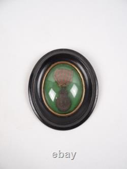 Médaille de Sainte Hélène XIXe Napoléon III cadre en bois noir et verre bombé