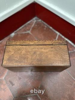 Rare Coffret À Thé Bois Précieux Sorrente XIX