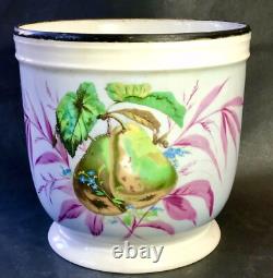 XIXe Ancien Grand Cache Pot Porcelaine de Paris Décor De Poires Ep Napoléon III